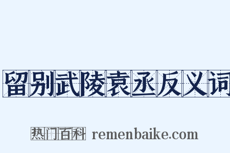 留别武陵袁丞反义词是什么意思的图片